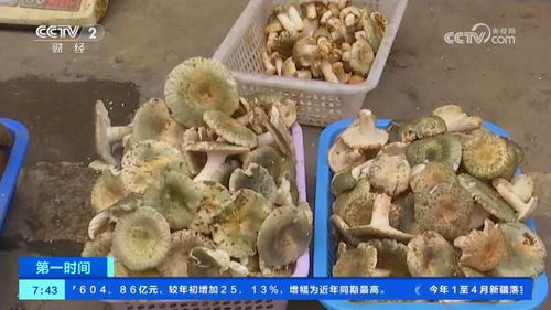 滾動(dòng)式發(fā)展 肉制品及副產(chǎn)品加工的創(chuàng)新之路