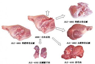 豬肉副產(chǎn)品的高值化利用 食品生產(chǎn)技術(shù)與產(chǎn)業(yè)發(fā)展路徑